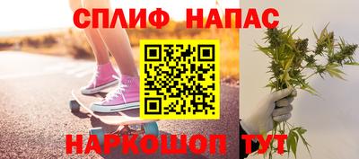 индика Краснознаменск