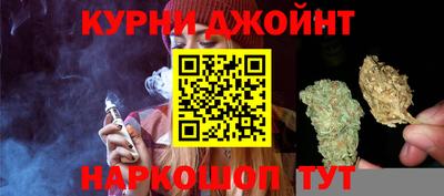 индика Краснознаменск