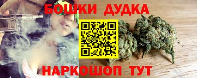 индика Краснознаменск