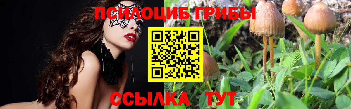 Звенигород  Галлюциногенные грибы MAGIC MUSHROOMS  Вход с VPN 